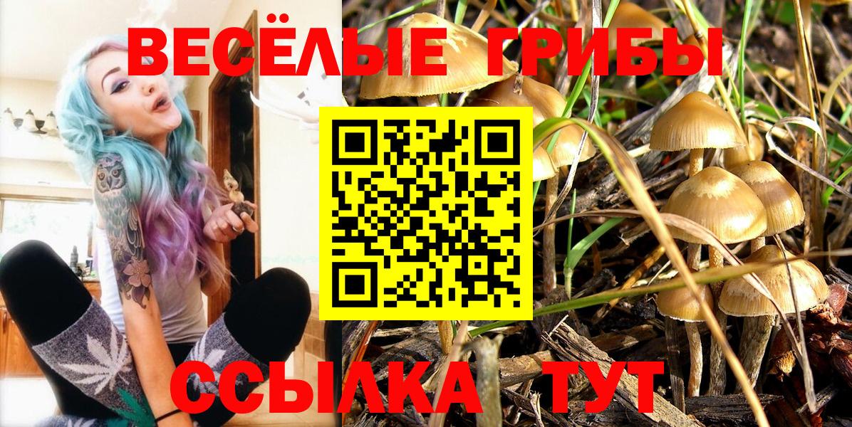 Псилоцибиновые грибы Cubensis  Псилоцибиновые грибы MAGIC MUSHROOMS  Вход с VPN  Дзержинский 